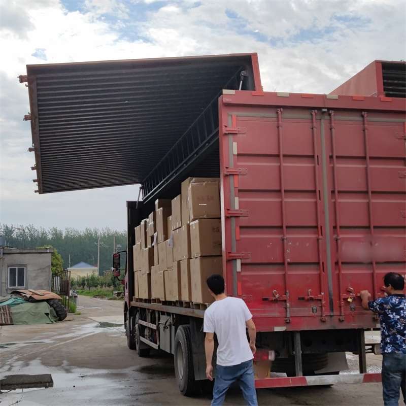 漾濞县扎囊县：物流专线的高效货运之旅